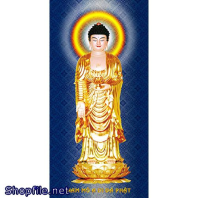 Hình Adida Chất Lượng Cao